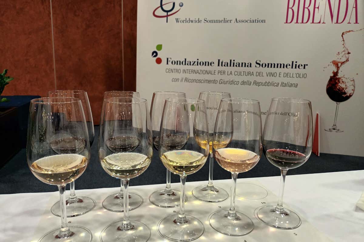 La favola nobile dei vini Il Pollenza, figli del Conte Aldo Brachetti Peretti