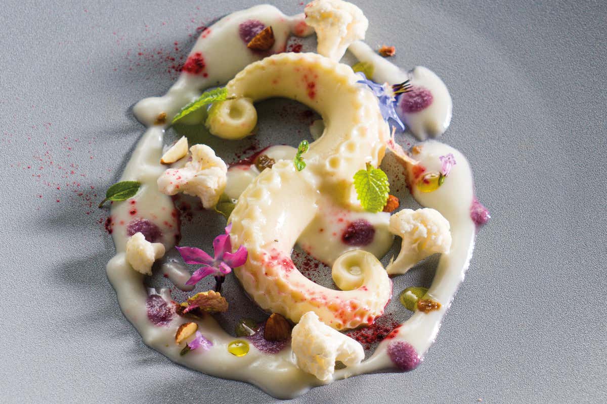 Illusione di polpo Illusione di polpo