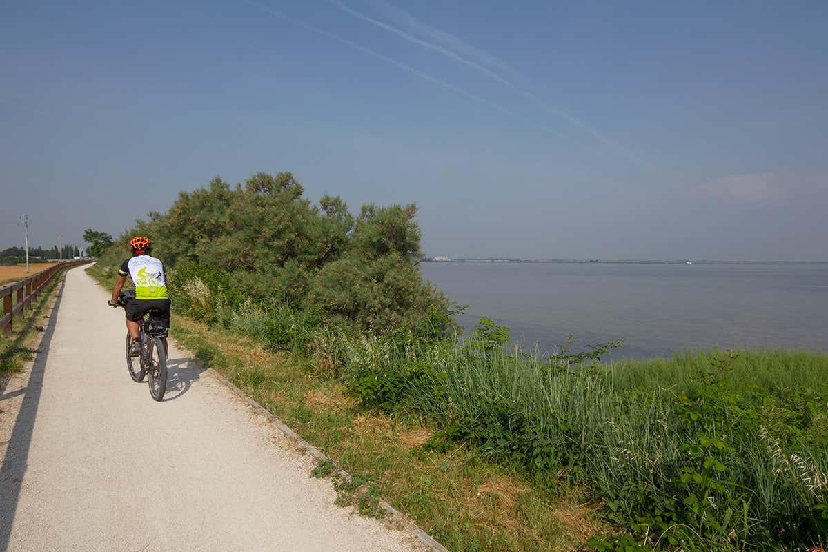 In bici sul mare. Foto: Life in travel A Lignano Sabbiadoro non solo mare ma anche bagni di foresta