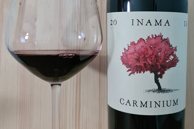 Ripartiamo dal vino Carminium 2016 Inama