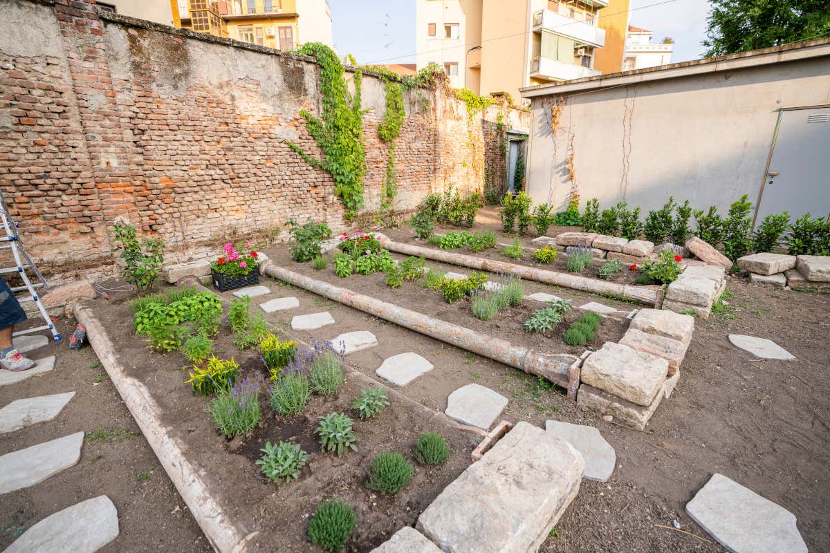 Gli orti  A Milano ora c'è “mosso”, un Punto di comunità per gusto, formazione e inclusione