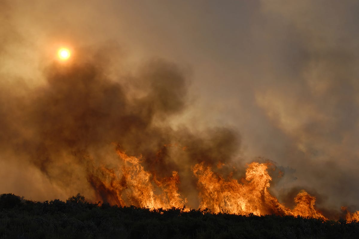 Caldo e siccità: nel 2022 sono triplicati gli incendi
