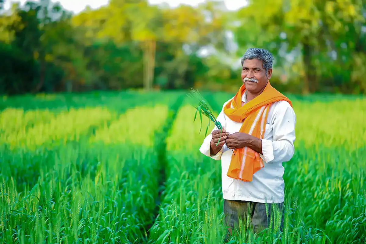 La partnership italo-indiana &egrave; la prima nel campo del food-processing The Mega Food Park, in India il primo polo dedicato al food italiano