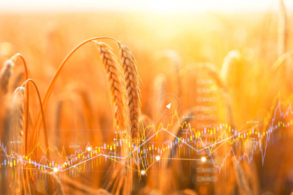 I costi dell’inflazione nel mercato agroalimentare