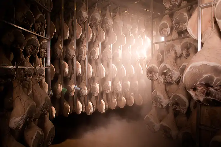 L&rsquo;innovazione sostenibile di Salumificio San Michele