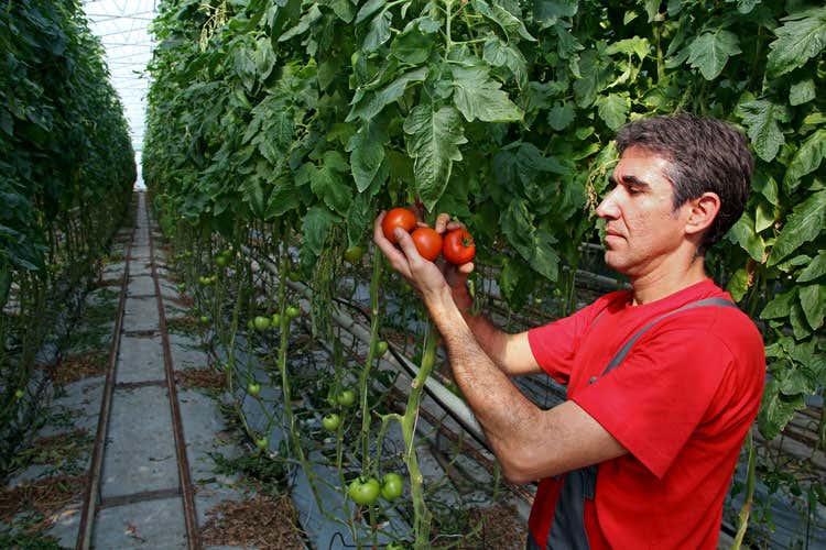 (L'Inps regolarizza i voucher Esulta l'agricoltura, 50mila posti nei campi)