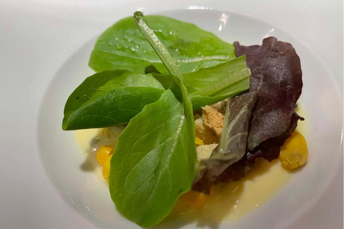 Un Dessert: insalata con pinoli e crema pasticcera alla maggiorana  Al Taki off, Massimo Viglietti anarchico &quote;mediatore&quote; in cucina fra Italia e Giappone