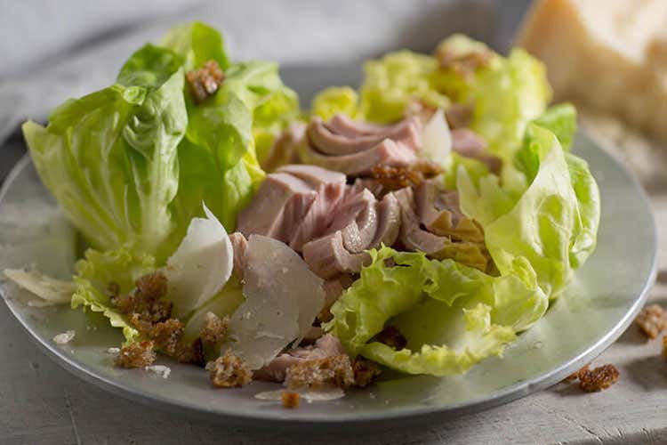 (Insalatona fantasia fresca e gustosa Indivia e tonno ingredienti ideali) (Insalatona fantasia fresca e gustosa Indivia e tonno ingredienti ideali)