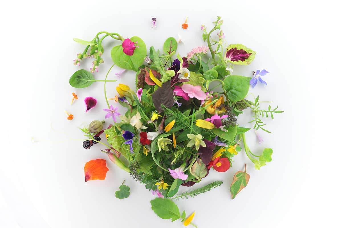 Una semplice insalata Grand Hotel Villa Feltrinelli, incanto stellato affacciato sul Lago di Garda