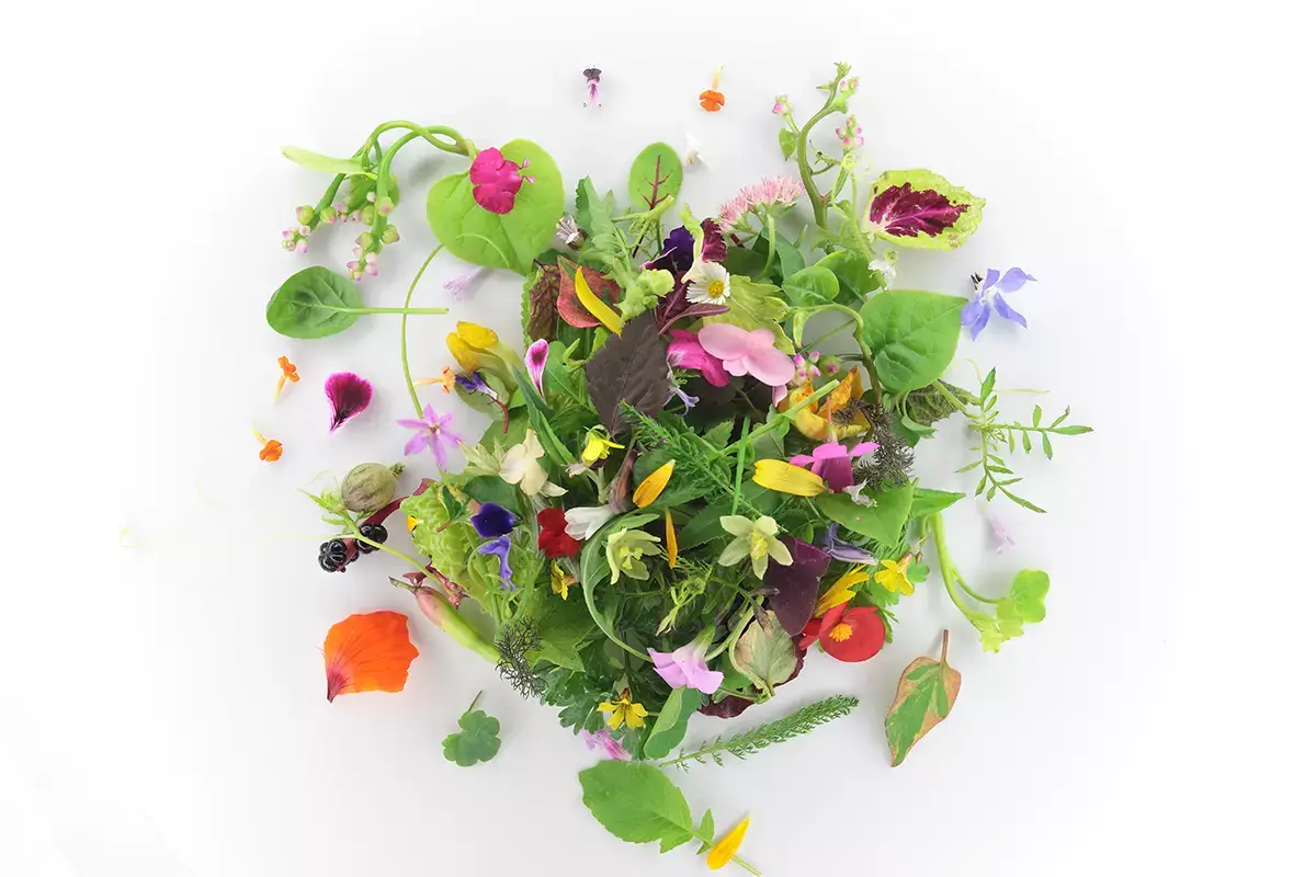 Una semplice insalata Grand Hotel Villa Feltrinelli, incanto stellato affacciato sul Lago di Garda