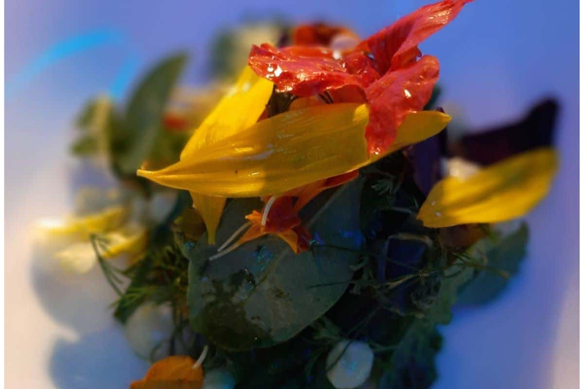 A Riva del Garda una vera e propria notte da fiaba... a tavola A Riva del Garda una vera e propria notte da fiaba... a tavola