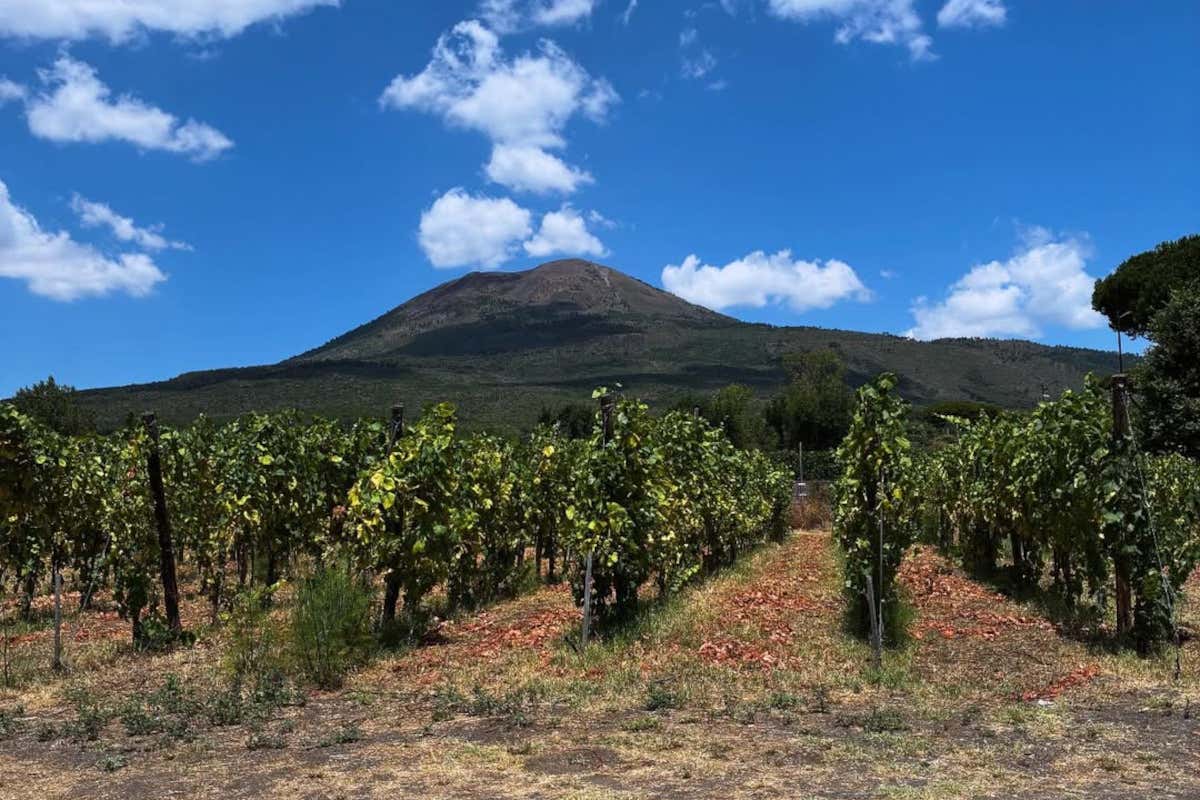 Vigna delle Rose: l'albergo diffuso tra vigne e storia nel Parco Nazionale del Vesuvio Vigna delle Rose: l'albergo diffuso tra vigne e storia nel Parco Nazionale del Vesuvio
