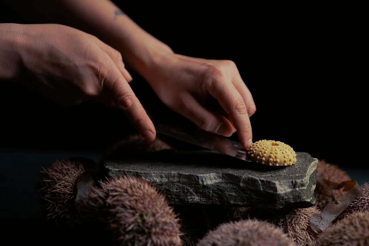 Il ristorante galleggiante nel fiordo di Hardanger che sembra un occhio di salmone