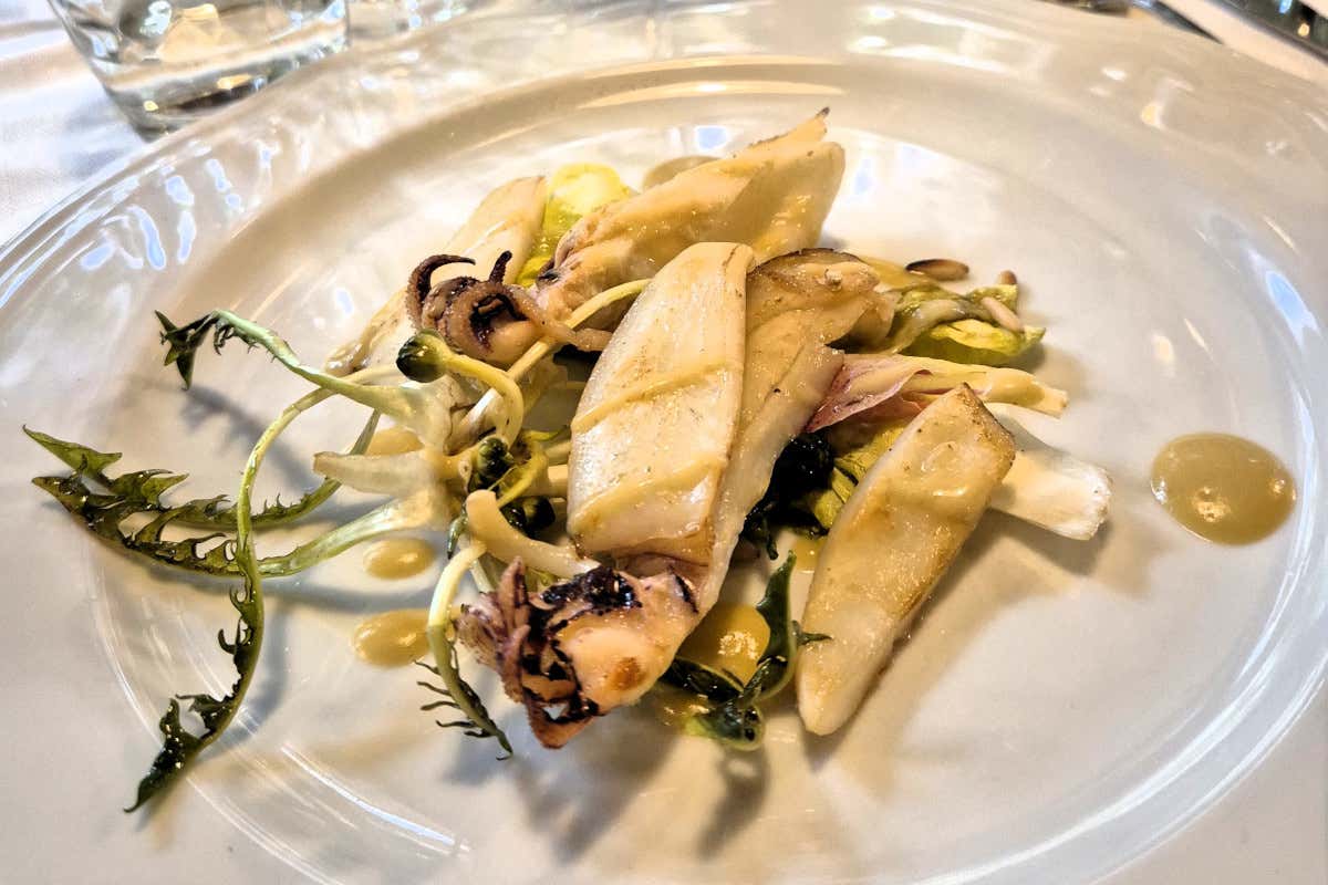 Seppiolone dell’Adriatico con radicchio di campo e vongole