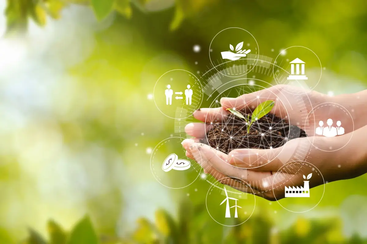 L'intelligenza artificiale al servizio dell'agricoltura di precisione L&rsquo;intelligenza artificiale a difesa della Dop economy