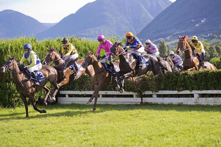 L'ippodromo di Merano - Montagna, poesia e mostre A Merano vacanze per tutti