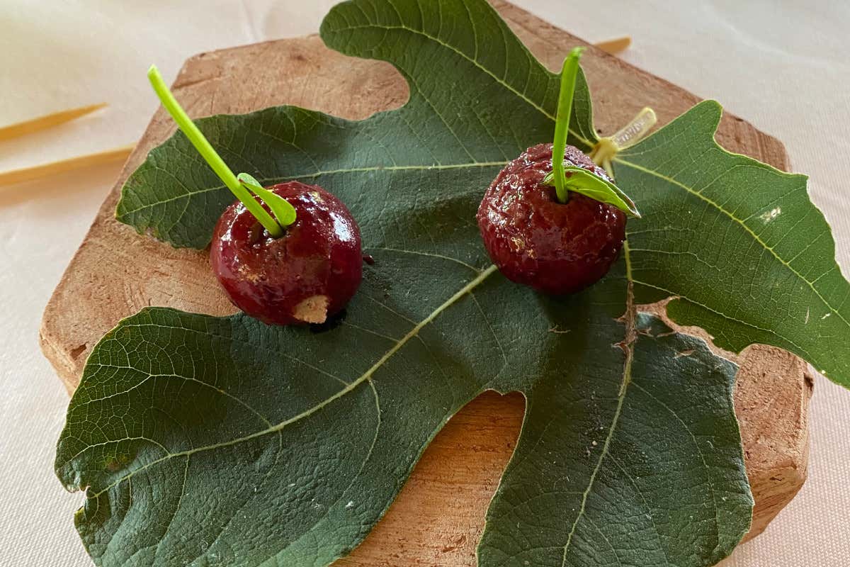 Le Ciliegie  La Palta di Isa Mazzocchi: quando la Provincia diventa una risorsa