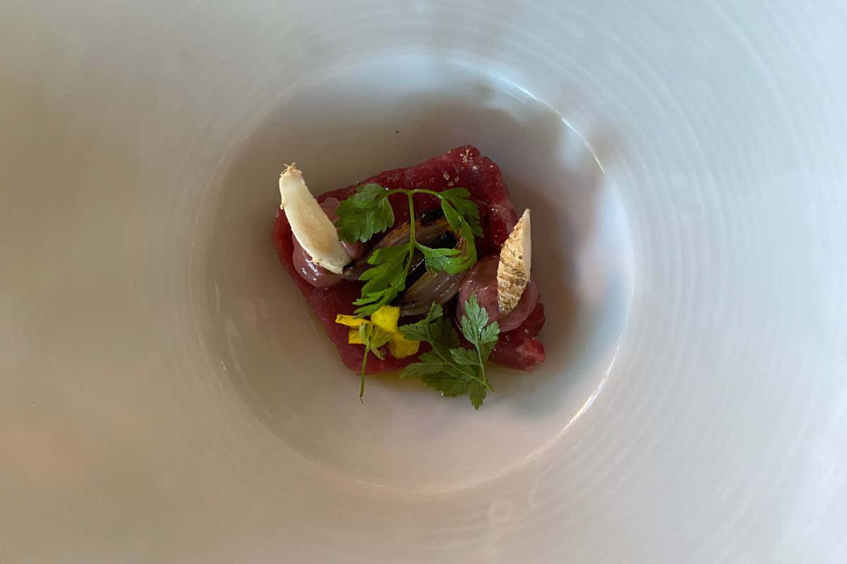  Le Nostre Radici (scamone di cavallo, maionese al Gutturnio e radici dell'orto) La Palta di Isa Mazzocchi: quando la Provincia diventa una risorsa