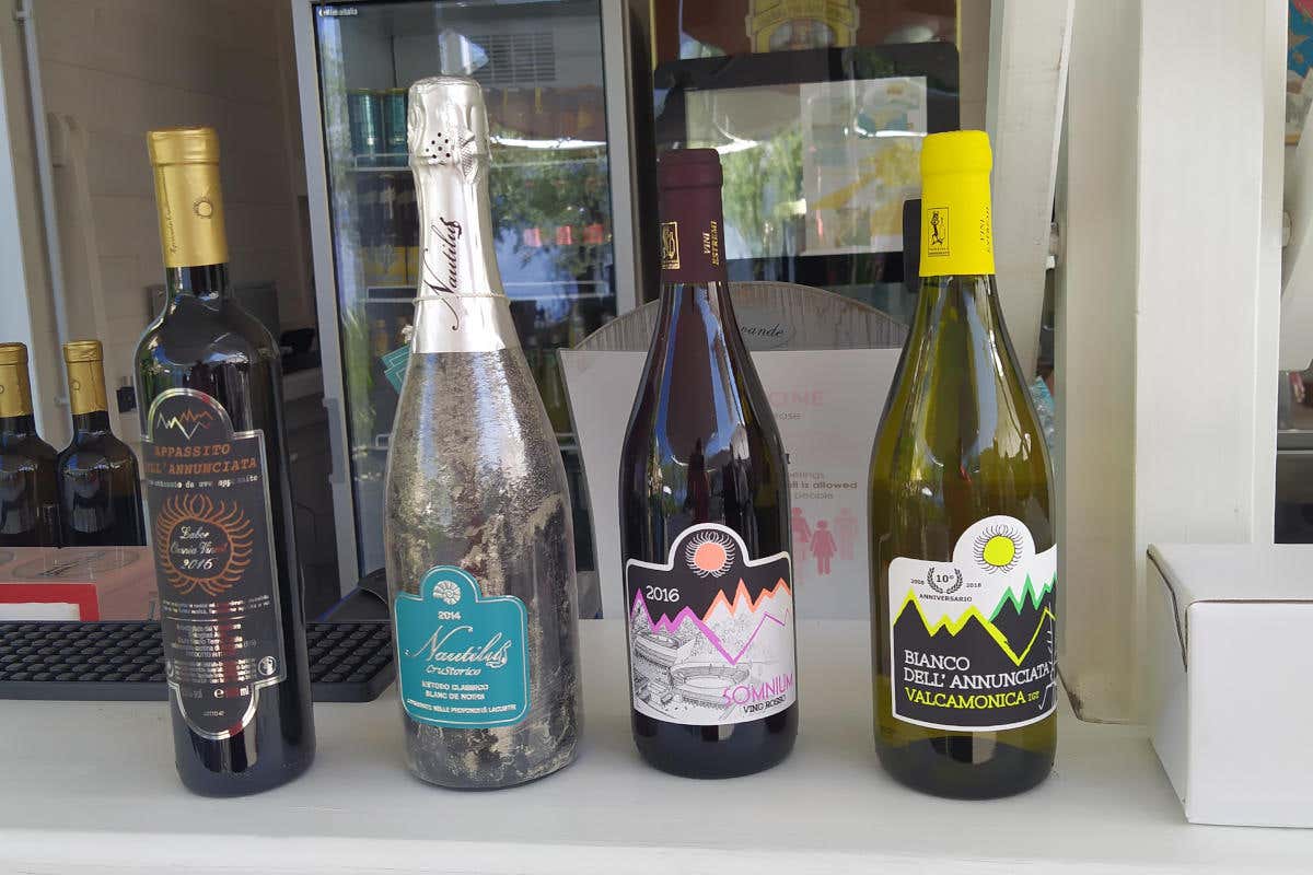 le etichette di agricola vallecamonica Le bollicine camune riemergono dopo 5 anni sul fondo del lago