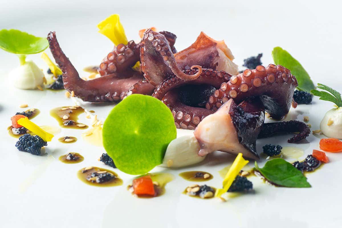 Polpo cotto al vapore [[Giro del Golfo in otto giorni]]: Albergo Regina Isabella a Ischia