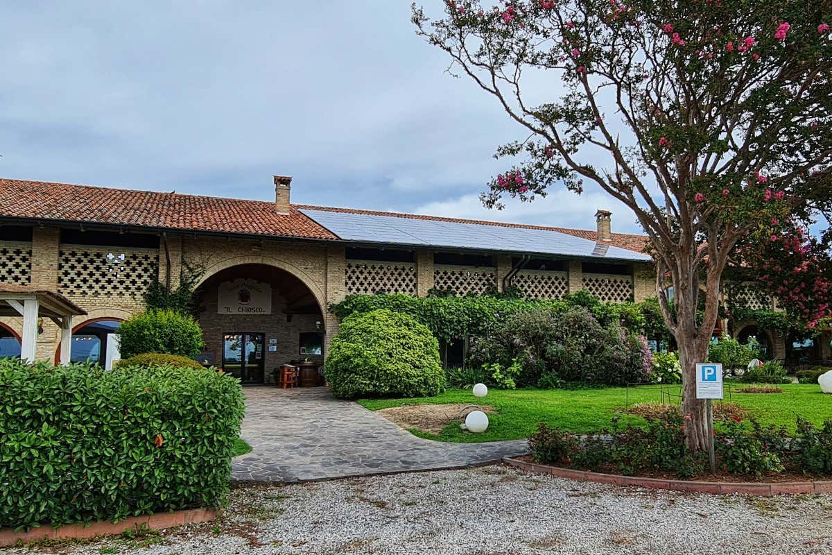 Isola Augusta, un'oasi di cultura vinicola a pochi passi da Lignano Sabbiadoro