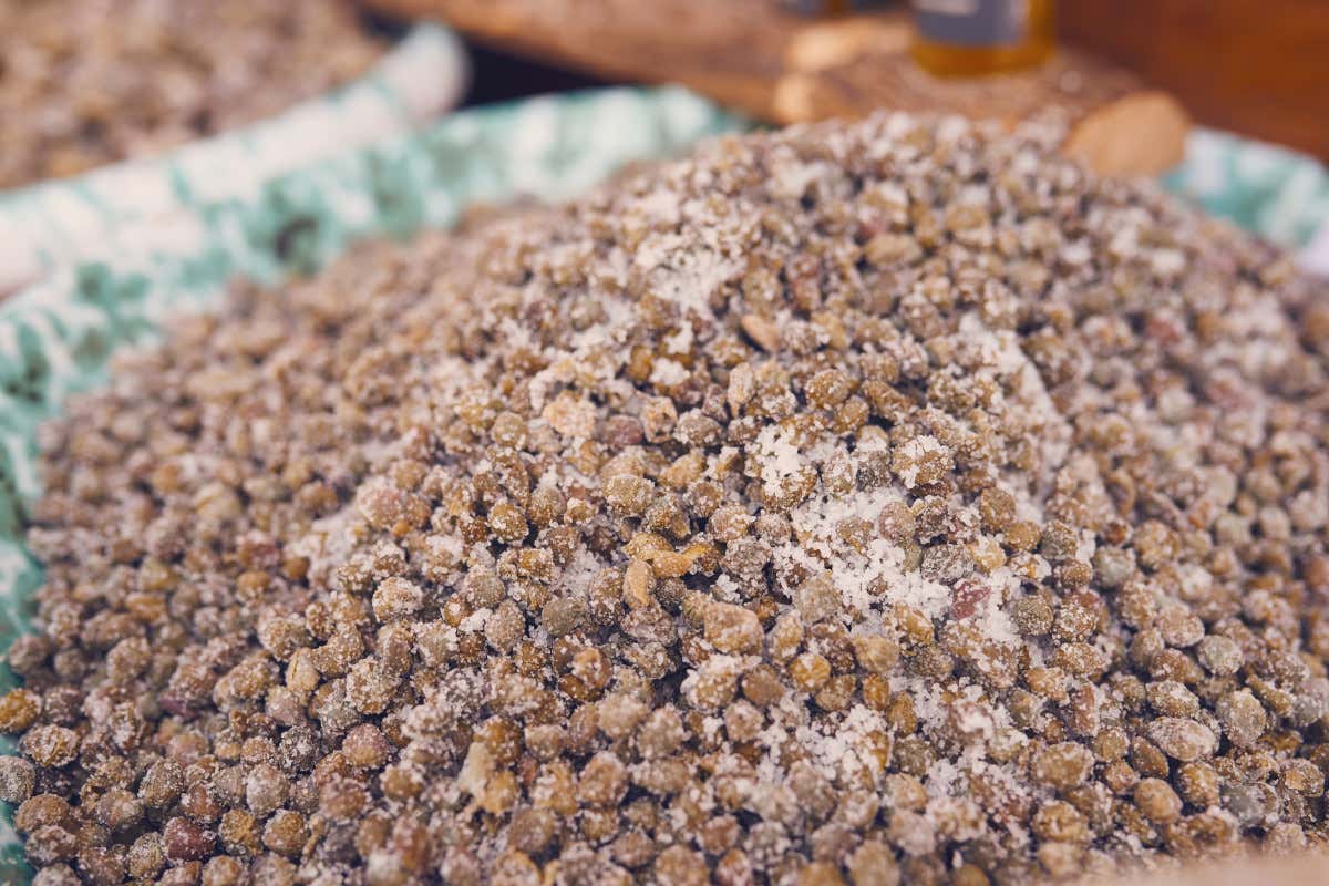 I capperi raccontano l’identità gastronomica più autentica delle Eolie