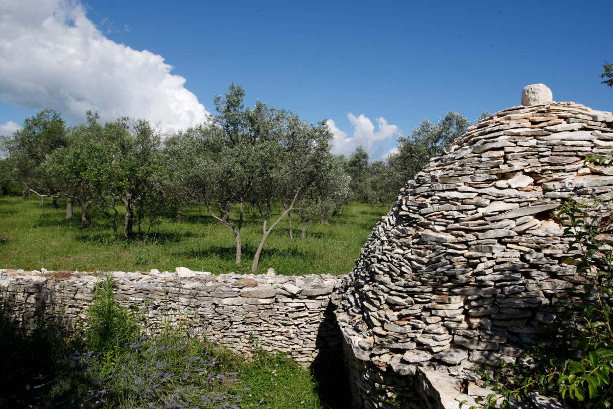 Coltivazioni che garantiscono materie prime top L'Istria in autunno è una bella (e buona) idea