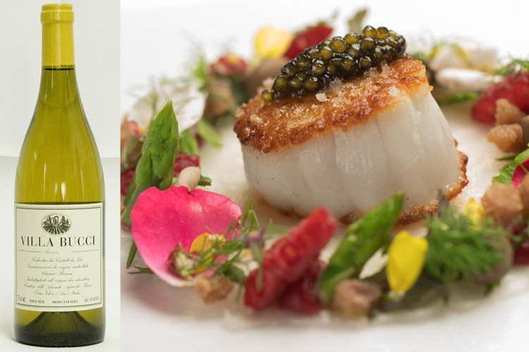 L&rsquo;Italia del vino Le Marche e il Verdicchio