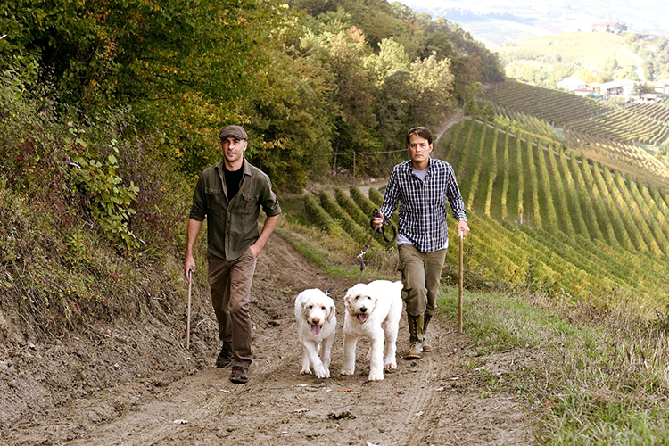 La piattaforma sostituisce i tour operator, ormai superati (Italia Delight, un modo smartper fare da tour operator)