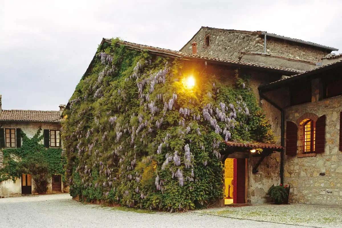 Franciacorta in rosa: la firma femminile di Freccianera sul futuro del vino