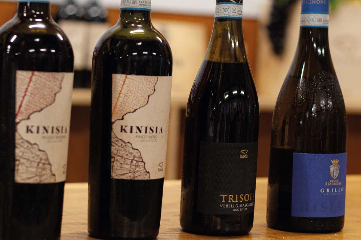 Il vino che cammina piano: appunti di un flâneur tra Champagne, Franciacorta e Marsala