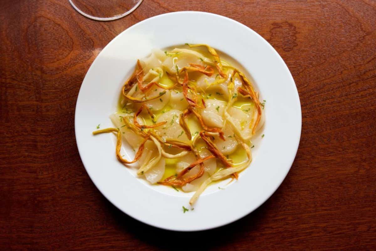 Crudo di capesante di Montauk con zenzero e boccioli di giglio