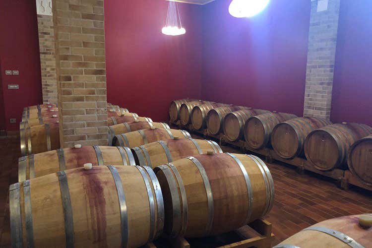 La cantina (La sapienza degli Jasci Precursori del vino abruzzese)