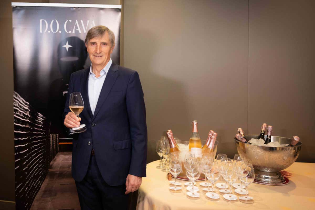 Record assoluto per le vendite di Cava nel 2023: «Ora puntiamo al 100% biologico»
