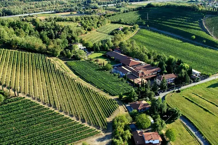 Jermann vista dall'alto&nbsp; Antinori punta su Jermann per essere pi&ugrave; forte con i vini bianchi