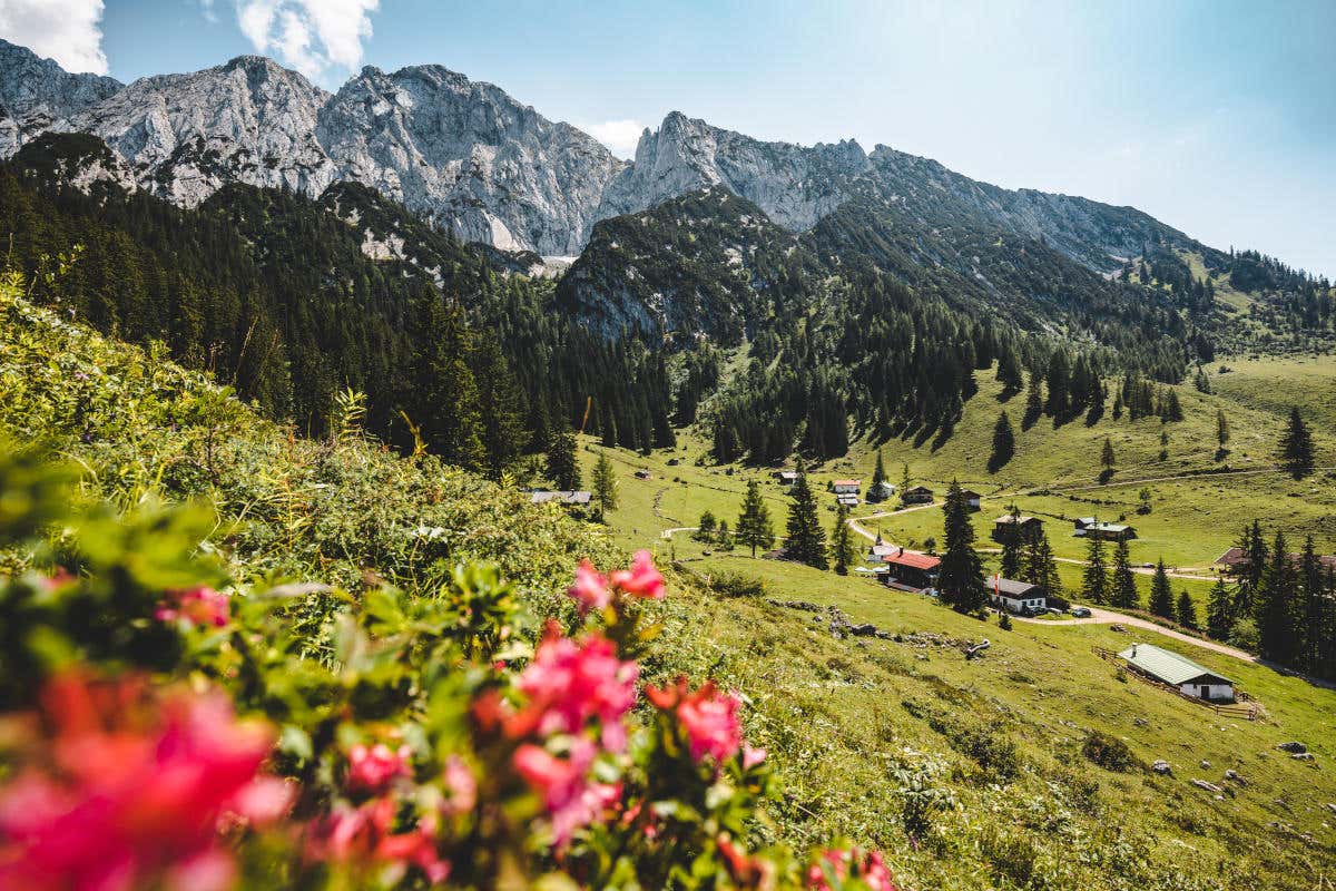 Le montagne del kaisergebirge, magnifica riserva naturale austriaca Le montagne del kaisergebirge, magnifica riserva naturale austriaca