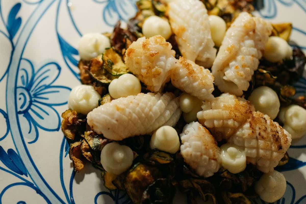 Calamari (calamaro scottato, zucchine alla scapece e salsa di pecorino)