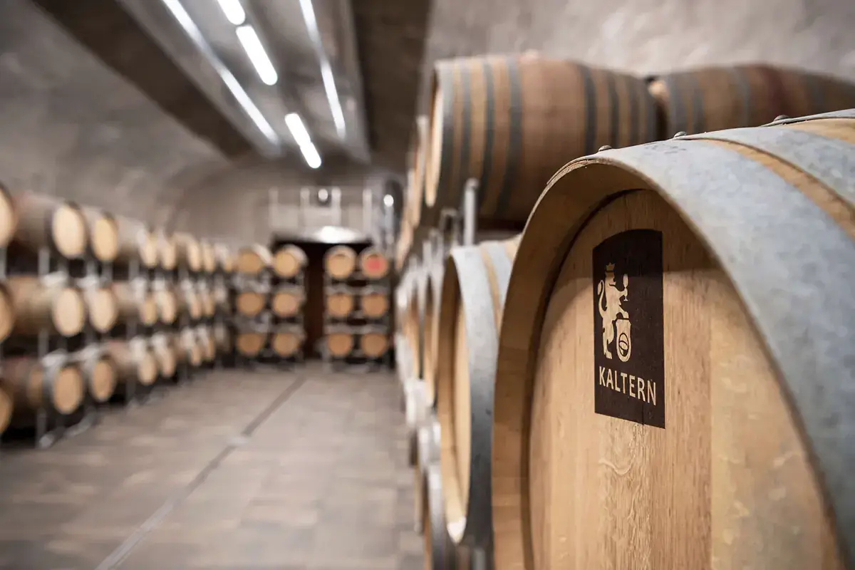 Un dettaglio della cantina Kaltern Cantina Kaltern, il 2021 &egrave; l'anno delle Selezioni