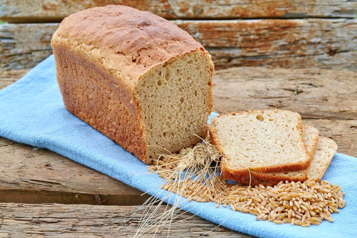 Pane a base di grano a marchio Kamut®, ideale per il benessere intestinale