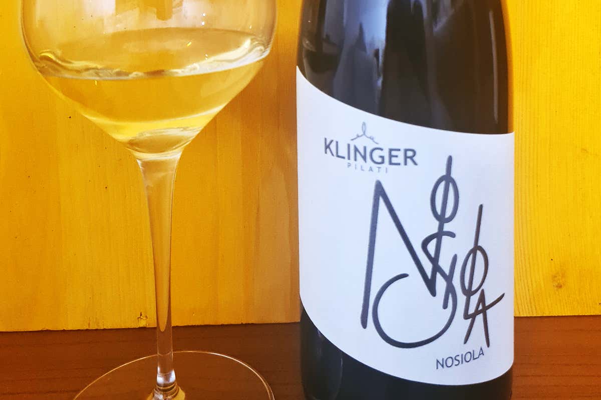 Nosiola 2019 Klinger Winery Nosiola 2019 Klinger Pilati £$Ripartiamo dal vino:$£ Nosiola 2019 Klinger Pilati