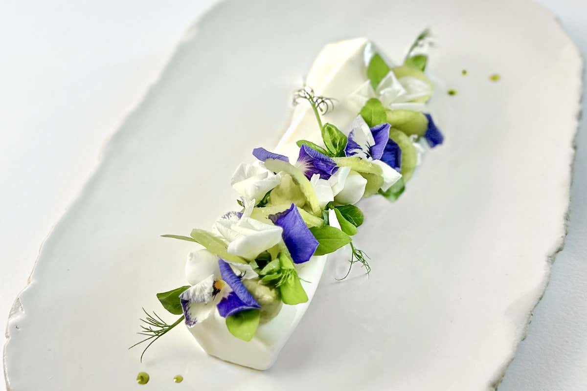 Cheesecake al kiwi Entremet Dessert, proposta di Camilla Jesholt Buffatti