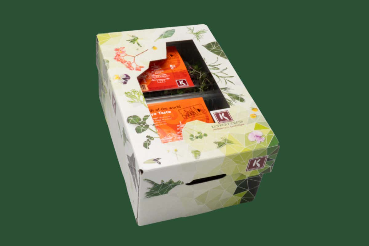 Tokyo Taste, nella comoda confezione 4x50 grammi