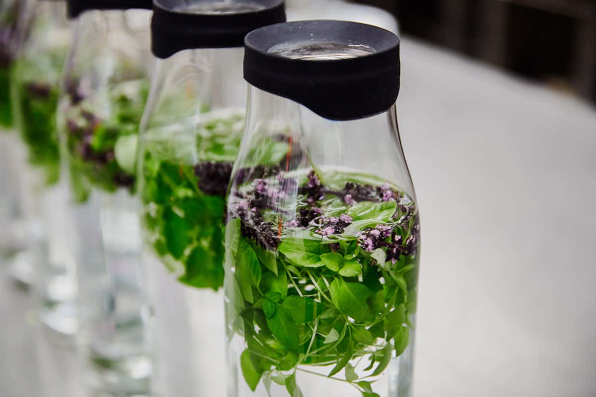 I crescioni Koppert Cress aggiungono ai drink un tocco di eleganza e un “twist” salutare