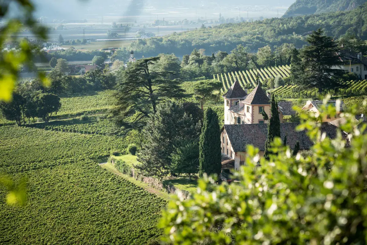 le tenute Kornell (@ALEXFILZ) Fra castelli e leggende un grifone custodisce i vini Kornell