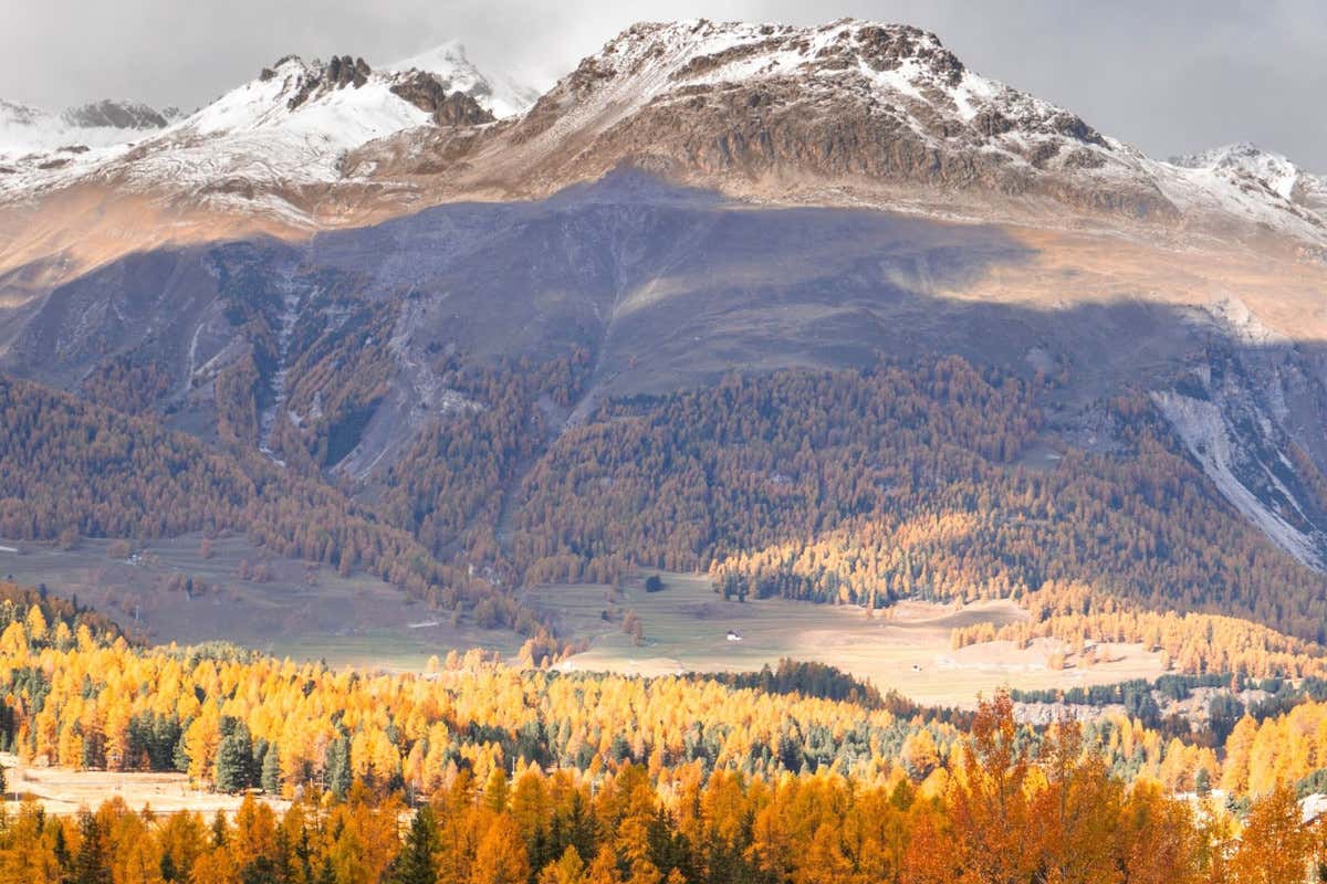 Vivere la magia dell’autunno in Engadina in un hotel della Belle Époque Vivere la magia dell’autunno in Engadina in un hotel della Belle Époque