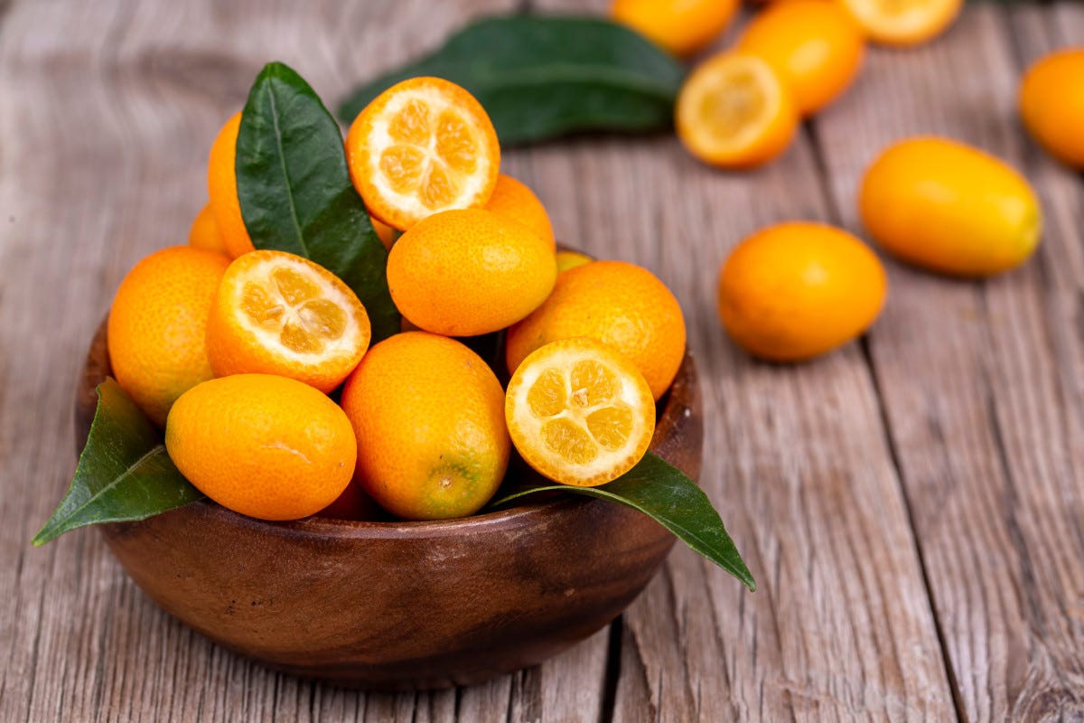 Il kumquat o mandarino cinese Scopriamo le proprietà del kumquat il mandarino cinese