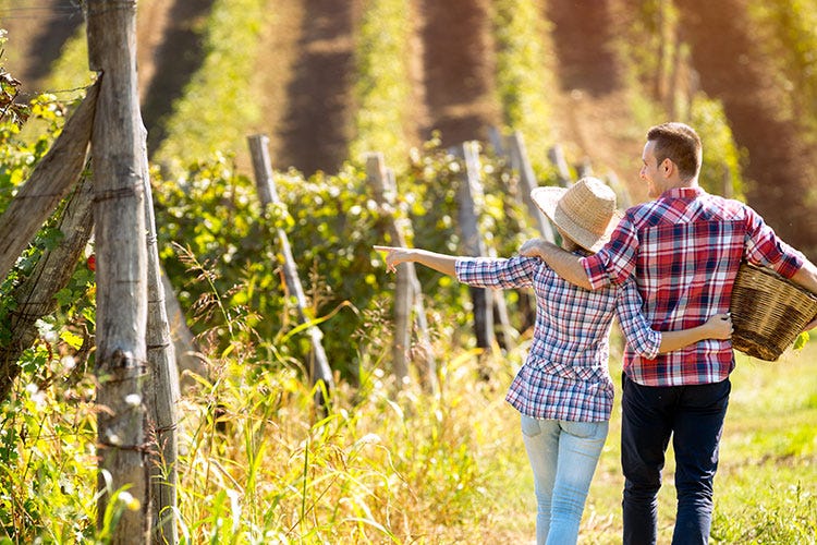 Il turismo del vino conta oltre 3 milioni di turisti l’anno - L’enoturista oggi...Età, nazionalità e desideri