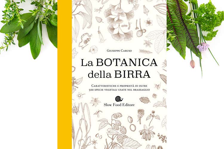 L'ultima fatica di Giuseppe Caruso (La Botanica della Birra L'inizio di una rivoluzione?) L'ultima fatica di Giuseppe Caruso (La Botanica della Birra L'inizio di una rivoluzione?)