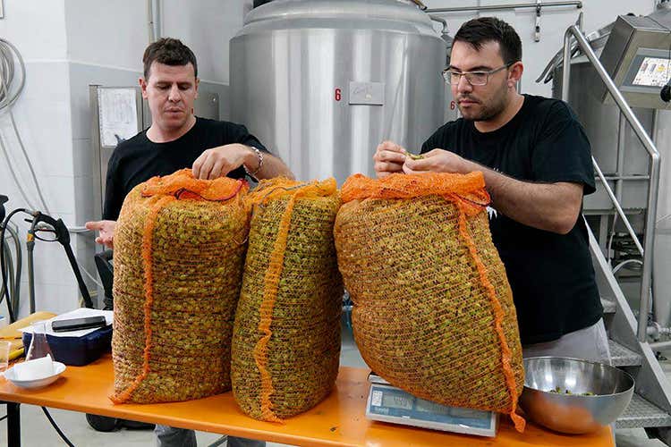L'importanza della relazione tra botanica e birra (La Botanica della Birra L'inizio di una rivoluzione?) L'importanza della relazione tra botanica e birra (La Botanica della Birra L'inizio di una rivoluzione?)