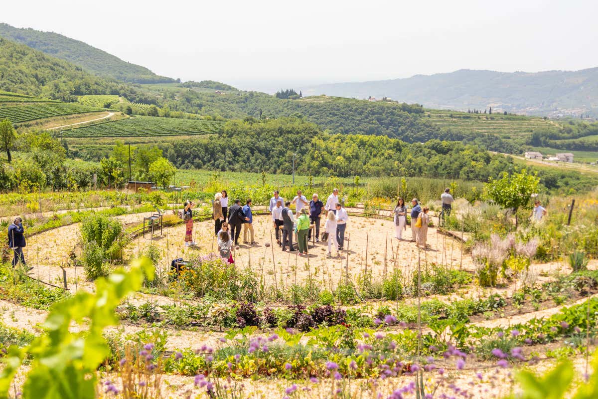 L'orto concentrico del Ristorante La Cru Vieni, vedi e vivi la Valpantena, a due passi da Verona